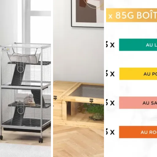 Guide d'achat : les 5 meilleurs boîte chat poisson (2026)