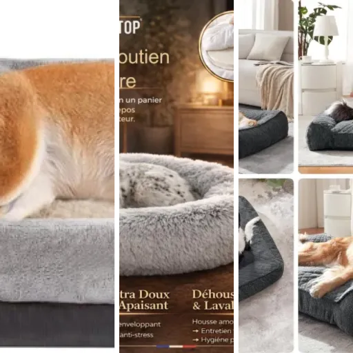 Top Coussin pour chien