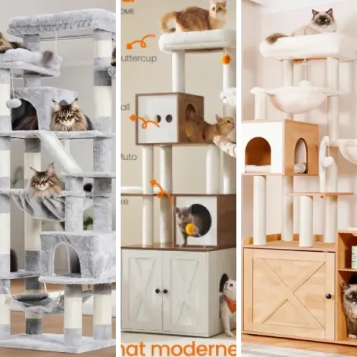Les 4 meilleurs arbre à chat (2026)