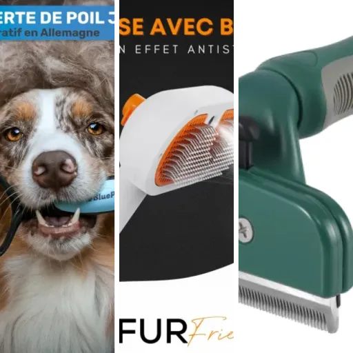 Notre sélection des 3 meilleurs brosse pour chien (2026)