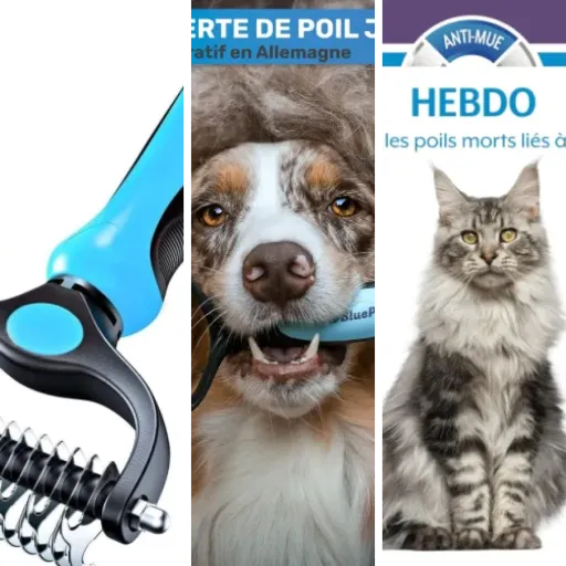 Guide d'achat : les 4 meilleurs brosse pour chat (2026)