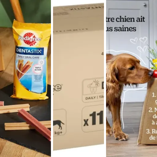 Top 5 : meilleurs bâtonnet hygiène dentaire chien (2026)