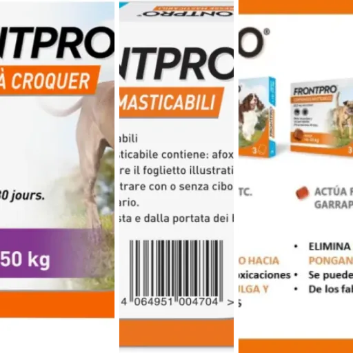 Classement des 5 meilleurs anti tiques chien (2026)