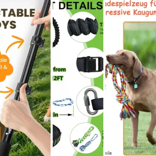 Top Corde à tirer chien