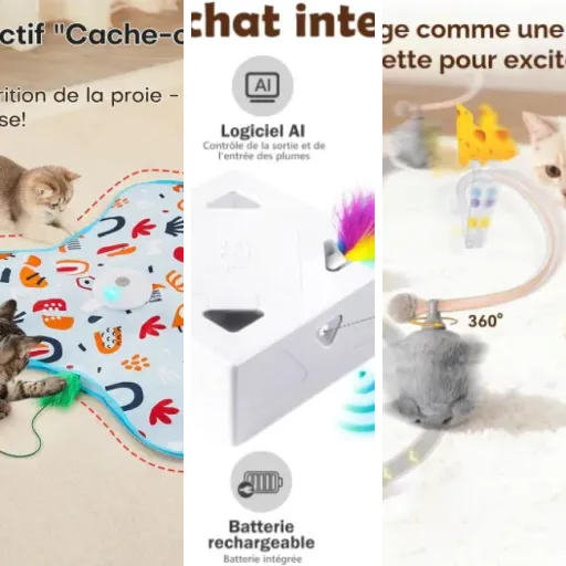Top Souris jouet chat