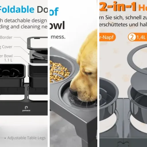 Guide d'achat : les 6 meilleurs gamelle anti-glouton (2026)