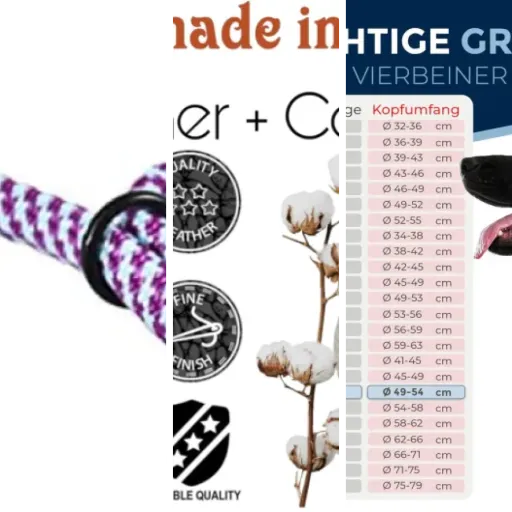 Les meilleurs collier semi-étrangleur chien : notre top 5 (2026)