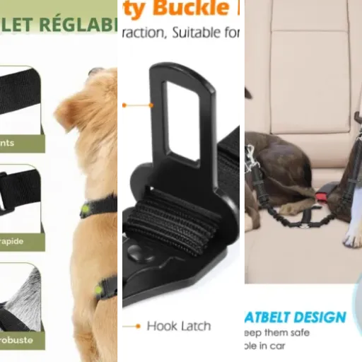 Quel harnais chien voiture choisir ? Top 9 (2026)