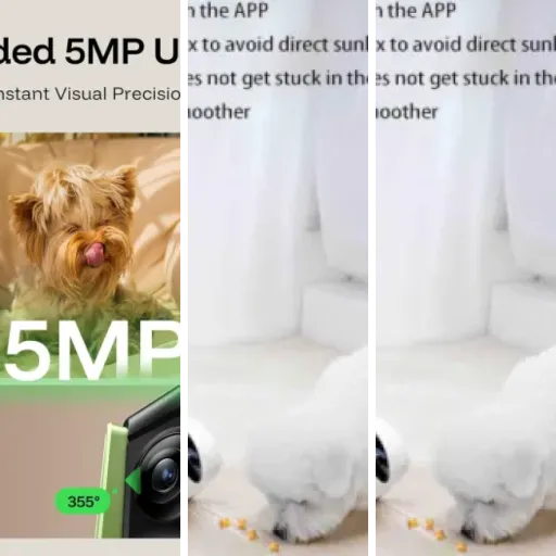 Top Caméra surveillance chien maison