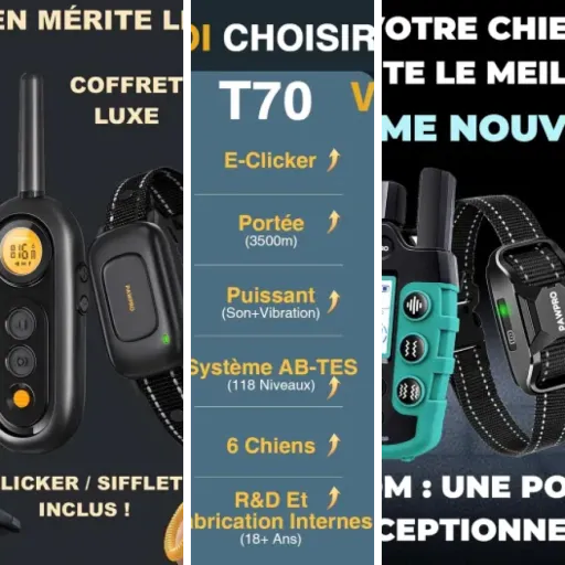 Top Clicker dressage chien