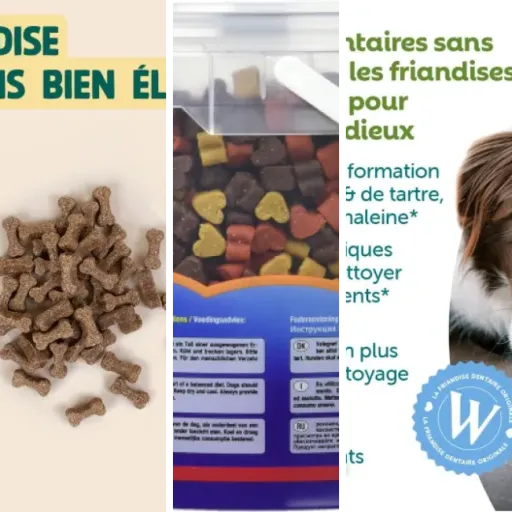 Top Friandise éducation chien