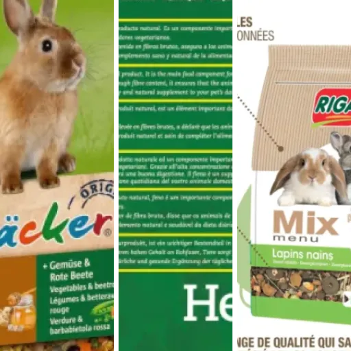 Top Foin pour lapin