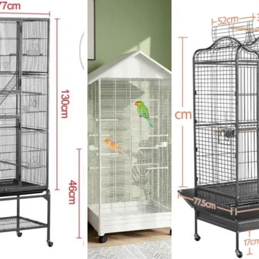 Top Cage à oiseaux