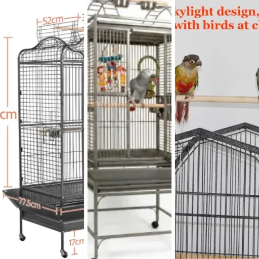 Top Cage perroquet