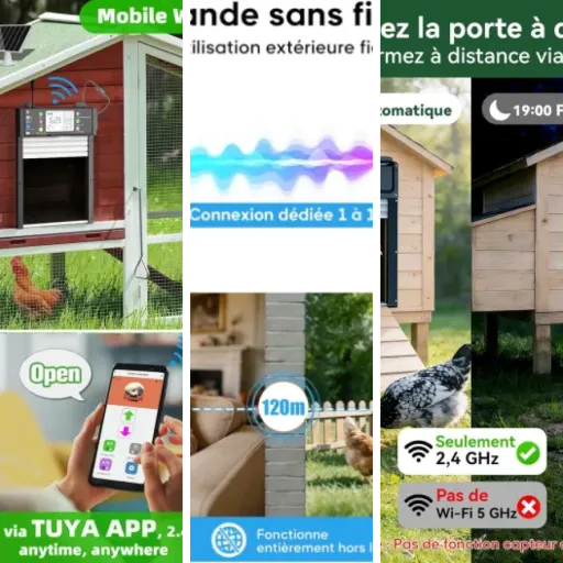 Top Portes automatiques poulailler solaires