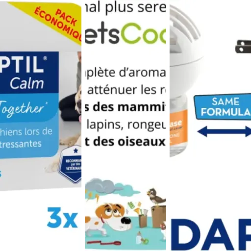 Top Calmant naturel pour chien
