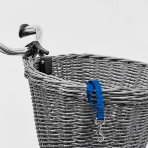 Bien choisir un panier pour chien à vélo : confort, sécurité et transport au quotidien